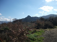 cantara piccole gole19022012 083